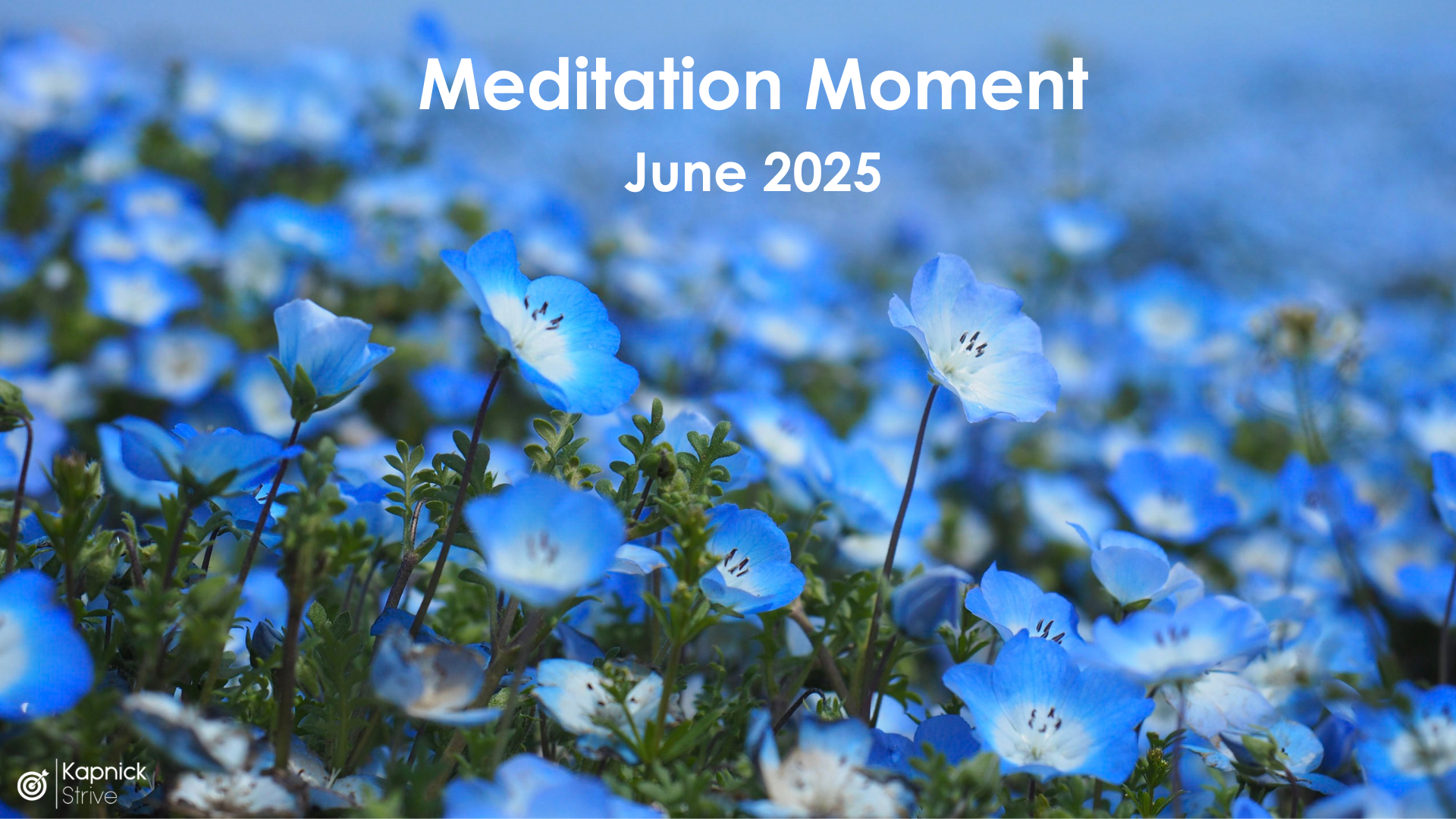 Meditation Moment - June 2025