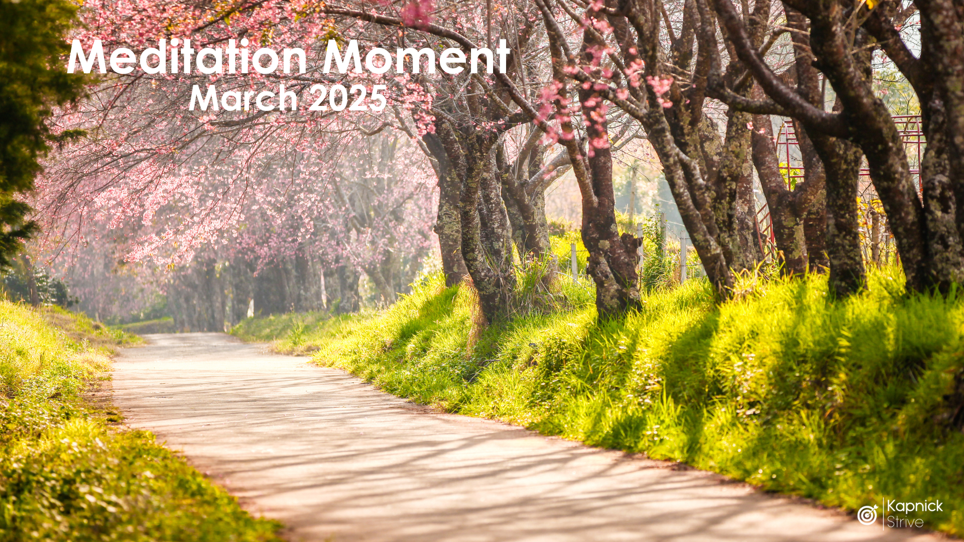 Meditation Moment - March 2025